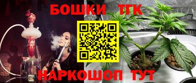 стафф Нальчик